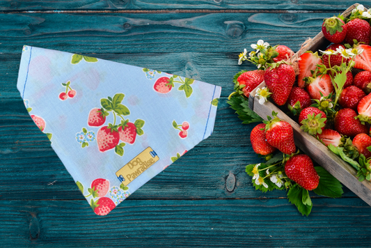 Strawberry patch bandana 🍓