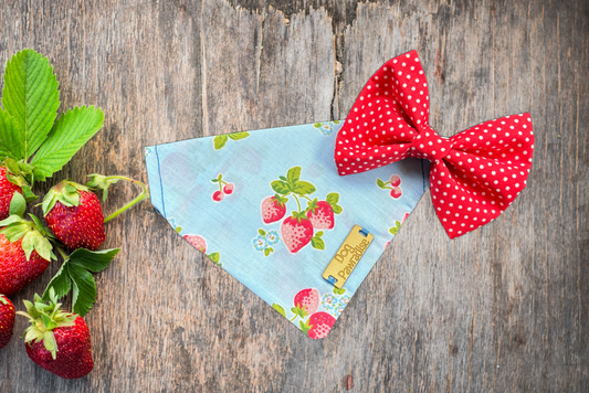 Strawberry Patch Bandana & Bow tie